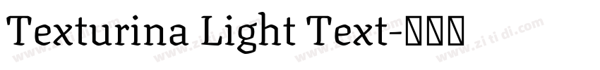 Texturina Light Text字体转换